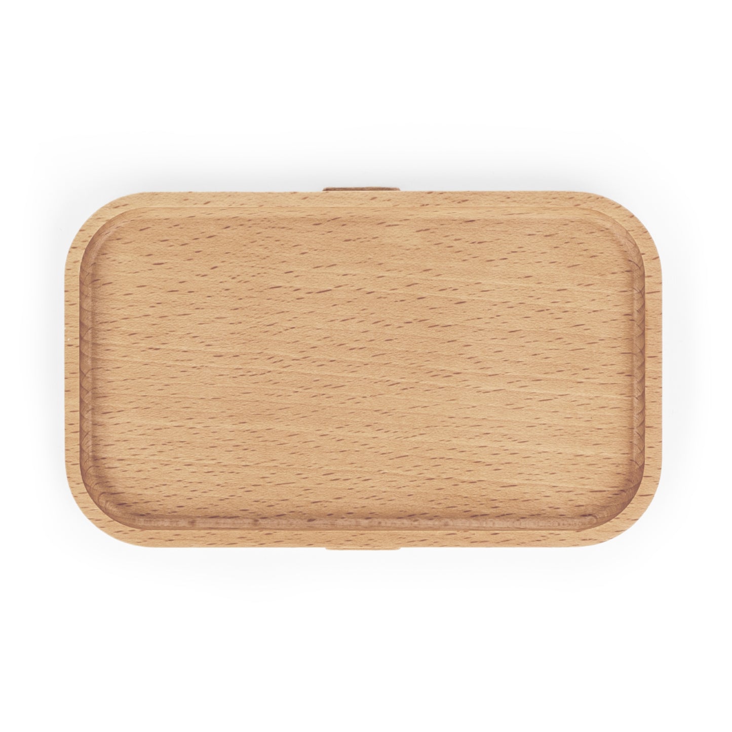 "Inclusion Matters" — Colorful Bento Lunch Box