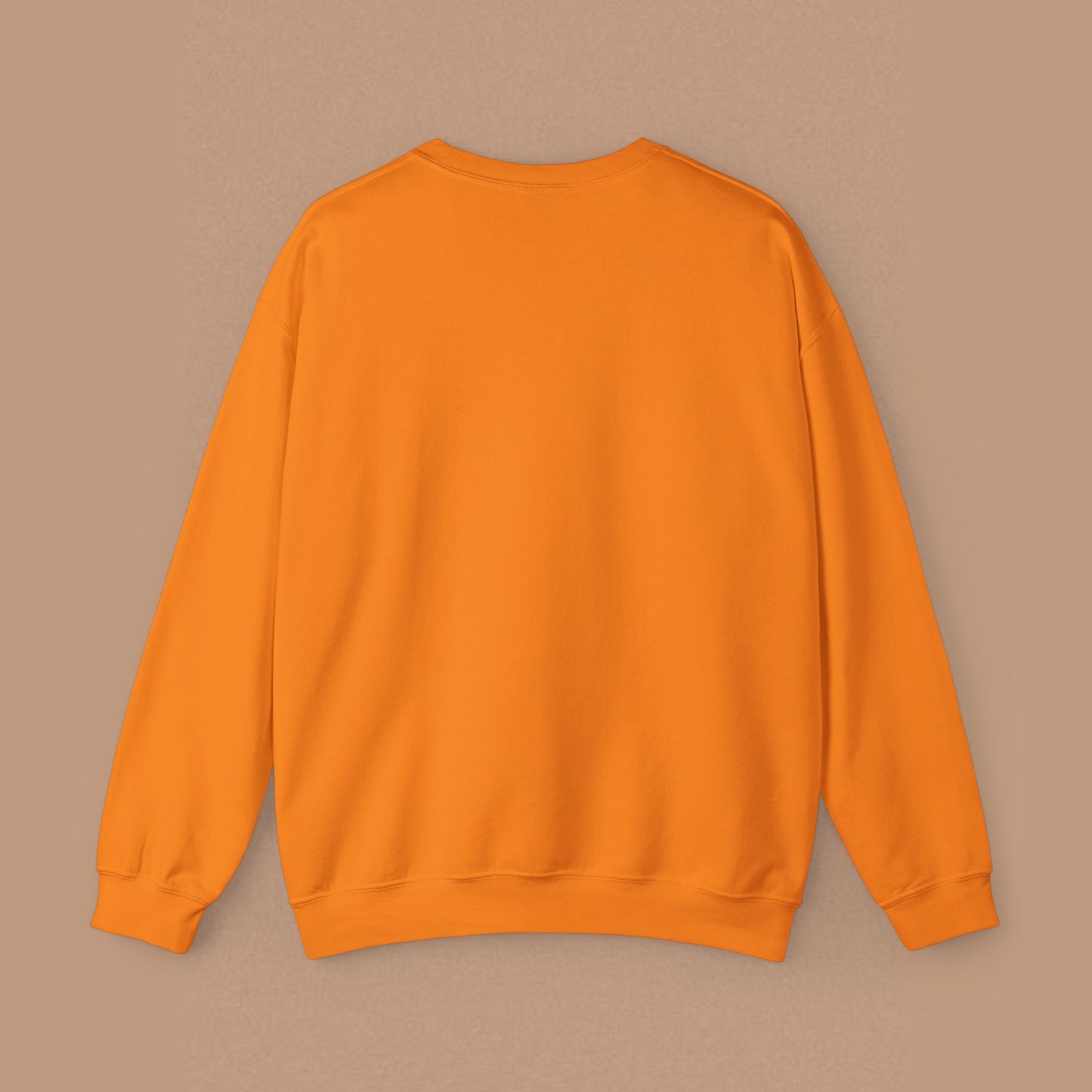 "Registered Behavior Technician" — Colorful Graphic Sweatshirt
